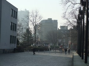a misty view onto John Dobson Street.. I love this Morning-Dew-Feeling